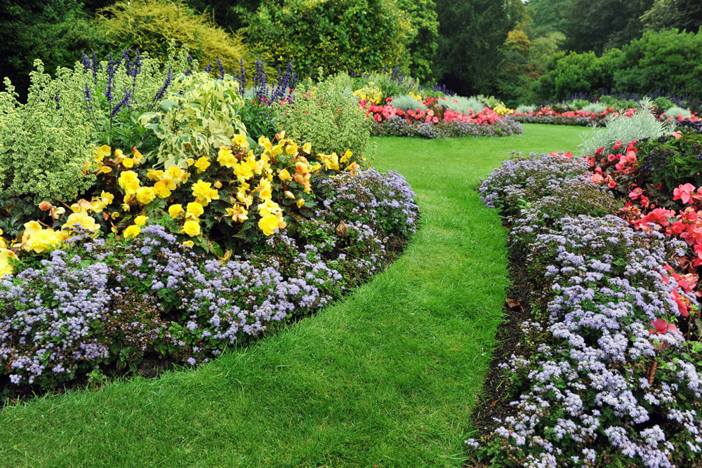3 Essential Steps to Hire a Landscaper