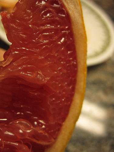 Grapefruit and Salt Bathtub Cleaner