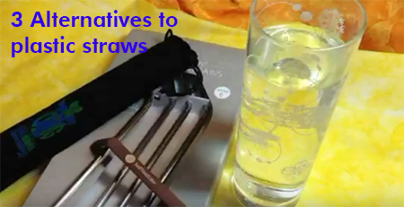 100 Steps to Living More Sustainable - 3 Alternatives to Plastic Straws | Full of Useless Information