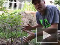 How much coffee do you drink in a year? The average coffee drinker can avoid putting 80 lbs of coffee grounds in the landfill each by doing these simple tips.