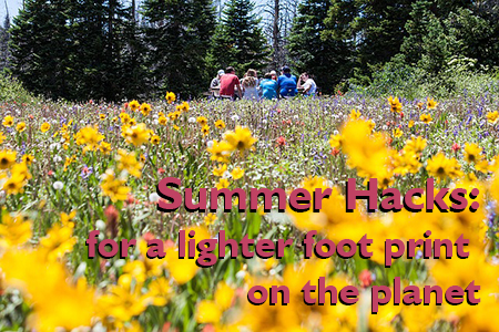 Memorial Day and Summer Hacks for a Lighter Impact on the Planet | Full of Useless Information